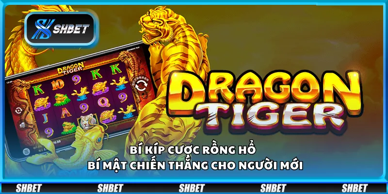 Bí kíp cược Rồng Hổ – Bí mật chiến thắng cho người mới