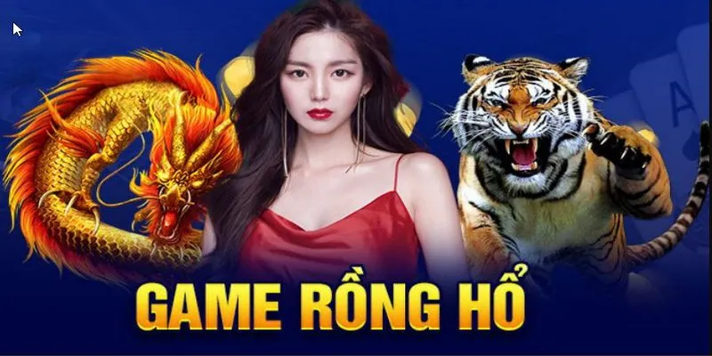 Những quy định cơ bản trong trò chơi Rồng Hổ