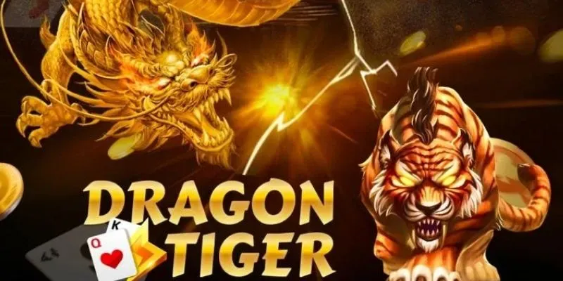 Tìm hiểu đôi nét về trò chơi Rồng Hổ