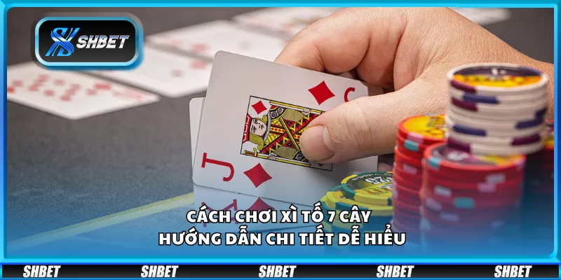 Cách chơi xì tố 7 cây – Hướng dẫn chi tiết dễ hiểu
