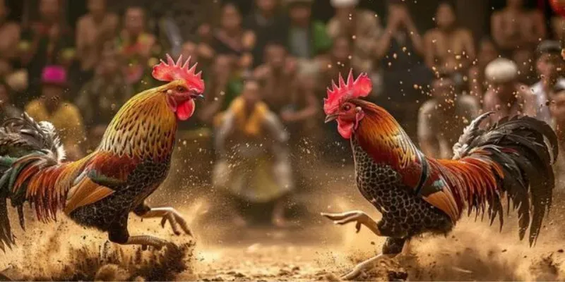 Những quy tắc quan trọng khi chơi Poker là gì?