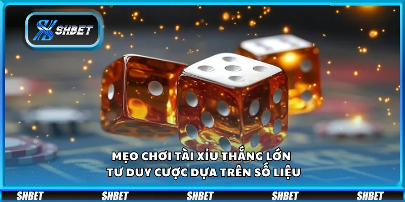 Mẹo chơi tài xỉu thắng lớn – Tư duy cược dựa trên số liệu