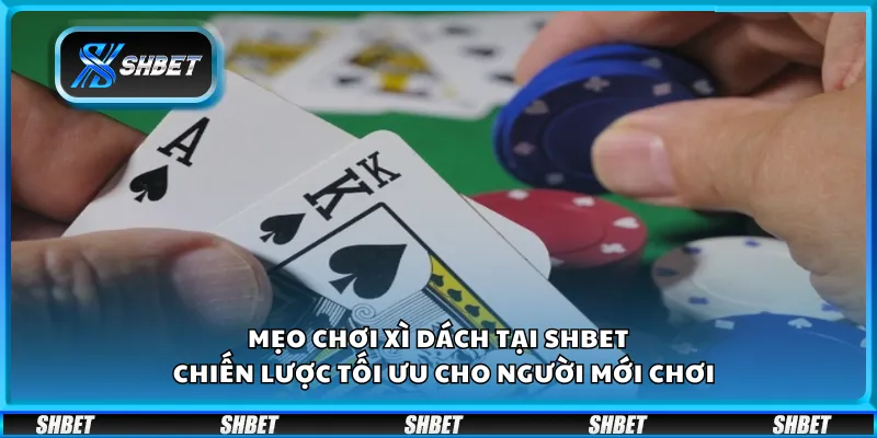 Mẹo chơi Xì Dách tại Shbet - Chiến lược tối ưu cho người mới chơi