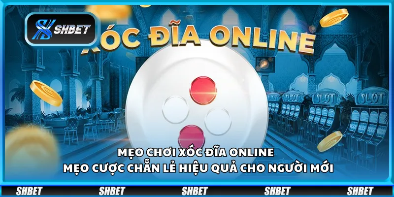 Mẹo chơi xóc đĩa online – Mẹo cược chẵn lẻ hiệu quả cho người mới