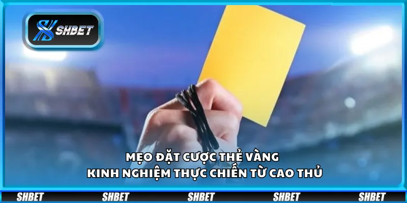 Mẹo đặt cược thẻ vàng tại Shbet – Kinh nghiệm thực chiến từ cao thủ